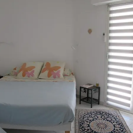 Tres Beau 2 Pieces Climatise Tout Equipe Avec Vue Mer Et Garage Apartment Saint-Raphael (Var)